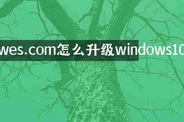 wes.com怎么升级windows10