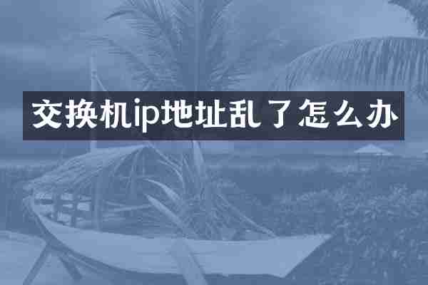 交换机ip地址乱了怎么办