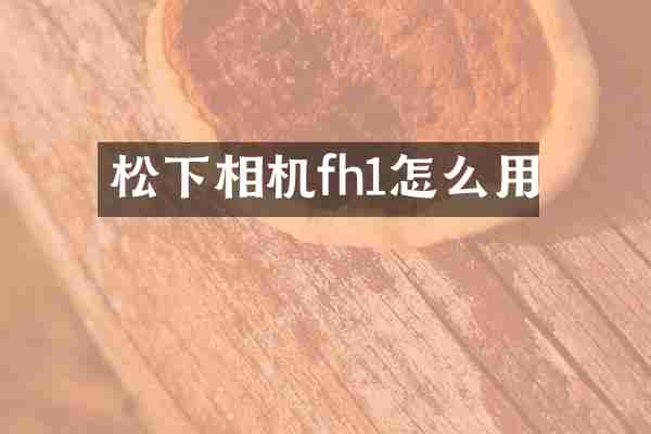 松下相机fh1怎么用