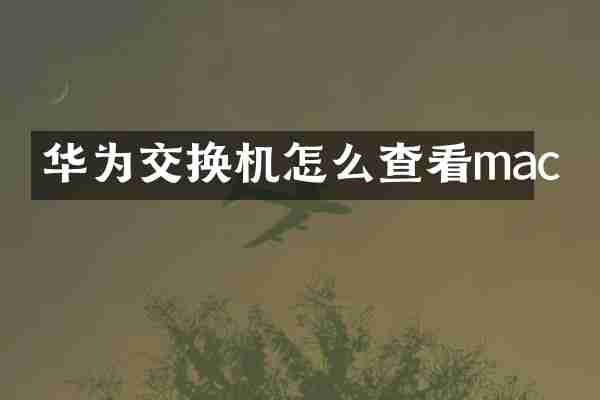 华为交换机怎么查看mac