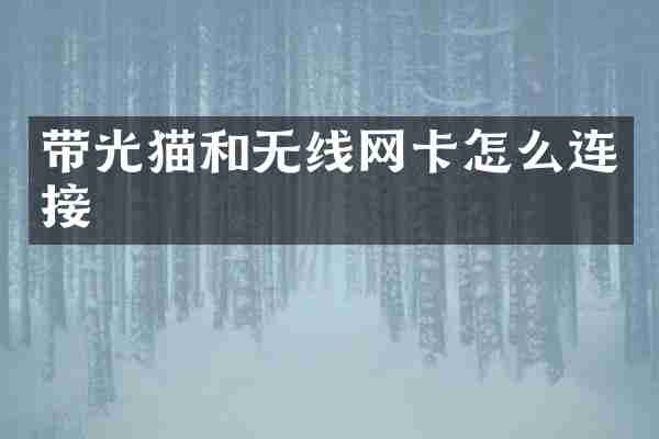 带光猫和无线网卡怎么连接