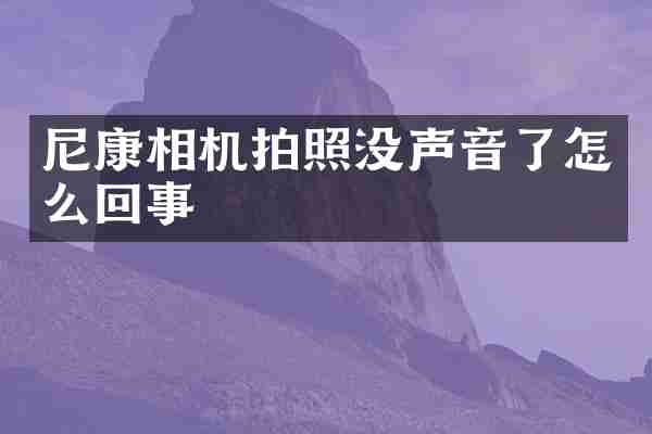 尼康相机拍照没声音了怎么回事