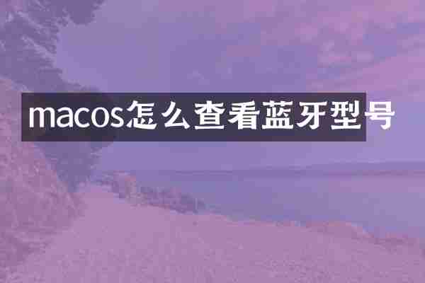 macos怎么查看蓝牙型号