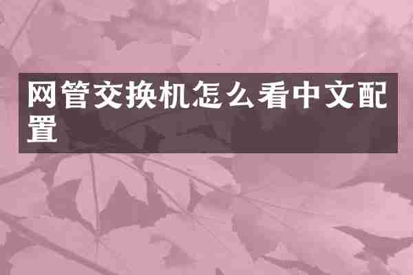 网管交换机怎么看中文配置