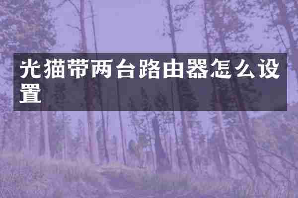 光猫带两台路由器怎么设置