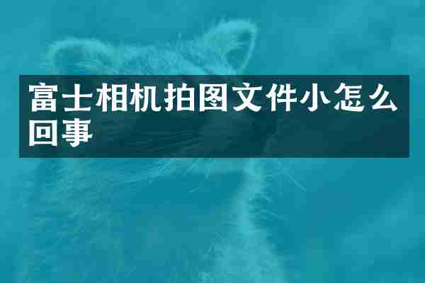 富士相机拍图文件小怎么回事