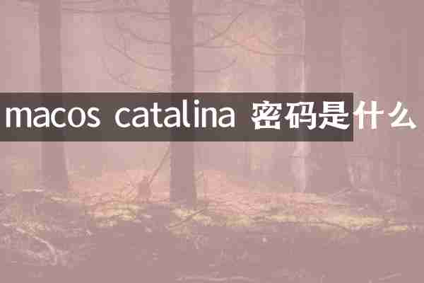 macos catalina 密码是什么
