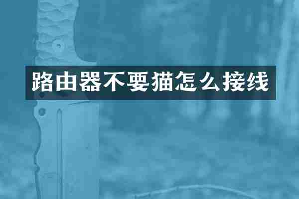 路由器不要猫怎么接线