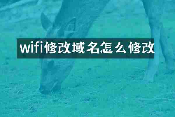 wifi修改域名怎么修改
