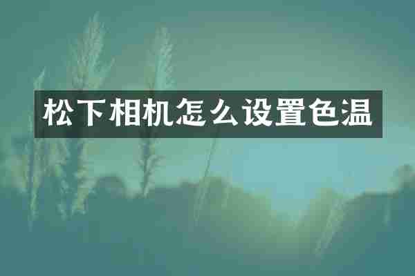 松下相机怎么设置色温