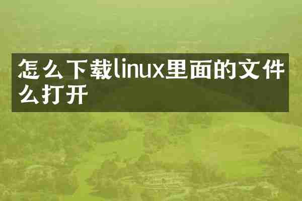 怎么下载linux里面的文件怎么打开