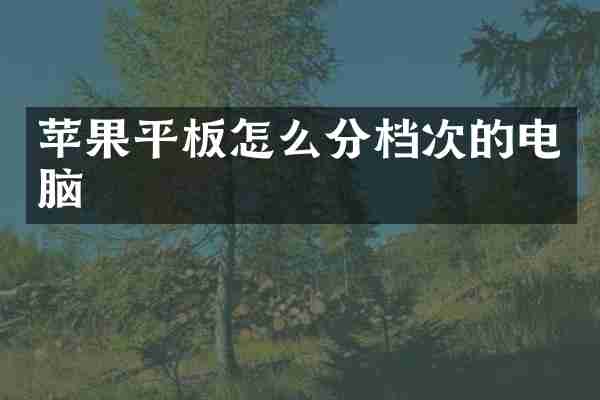 苹果平板怎么分档次的电脑