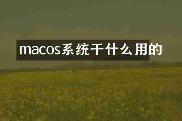 macos系统干什么用的