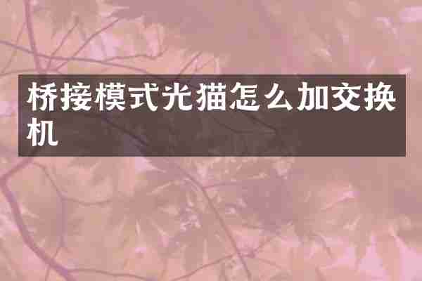桥接模式光猫怎么加交换机