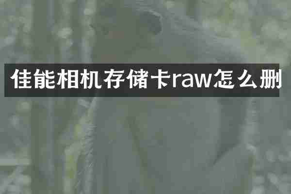 佳能相机存储卡raw怎么删