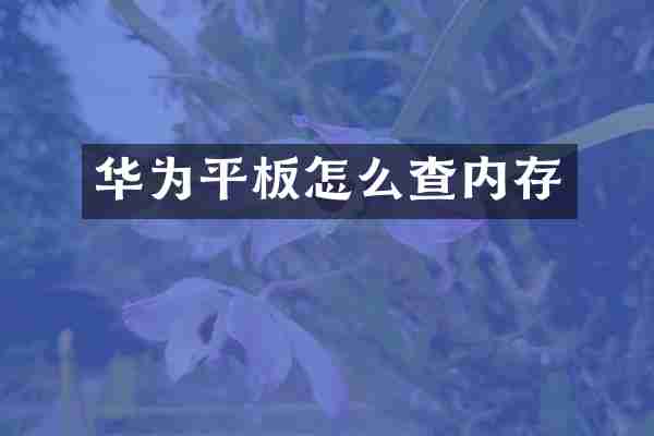 华为平板怎么查内存