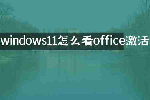 windows11怎么看office激活