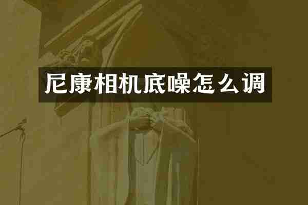 尼康相机底噪怎么调