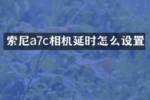 索尼a7c相机延时怎么设置