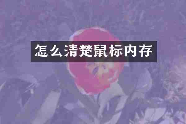 怎么清楚鼠标内存