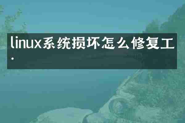 linux系统损坏怎么修复工具