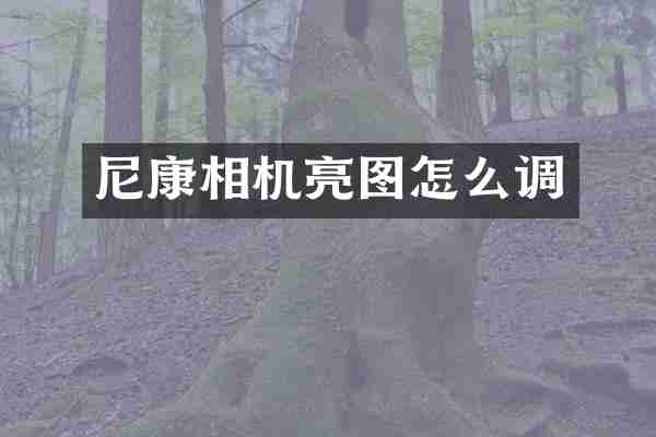 尼康相机亮图怎么调