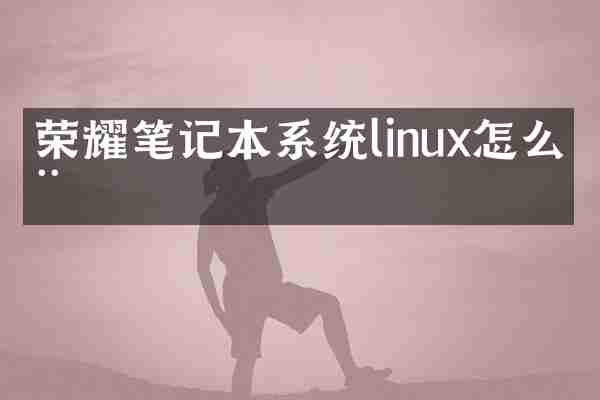 荣耀笔记本系统linux怎么用