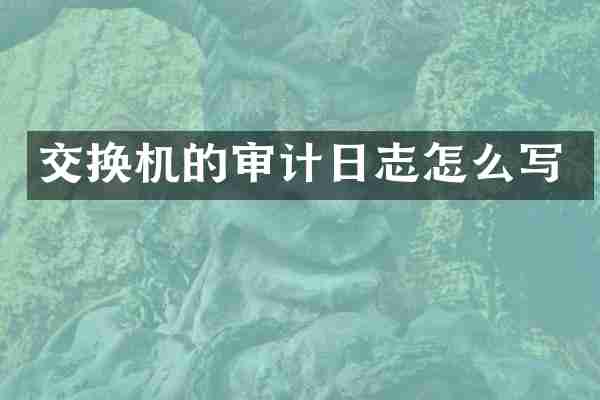 交换机的审计日志怎么写