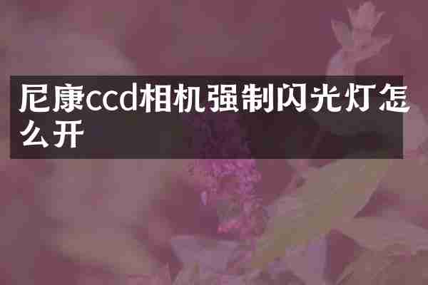 尼康ccd相机强制闪光灯怎么开