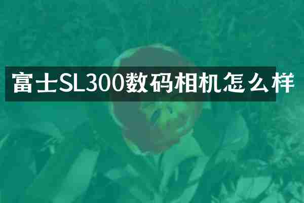 富士SL300数码相机怎么样