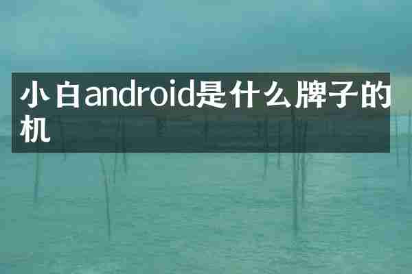 小白android是什么牌子的手机