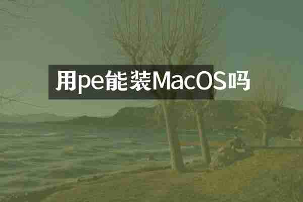 用pe能装MacOS吗