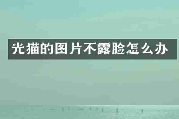 光猫的图片不露脸怎么办