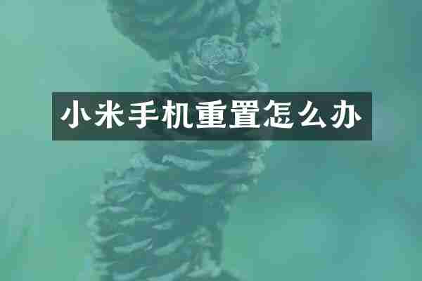 小米手机重置怎么办