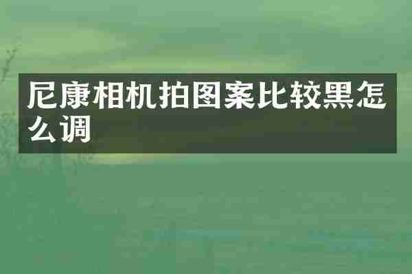 尼康相机拍图案比较黑怎么调