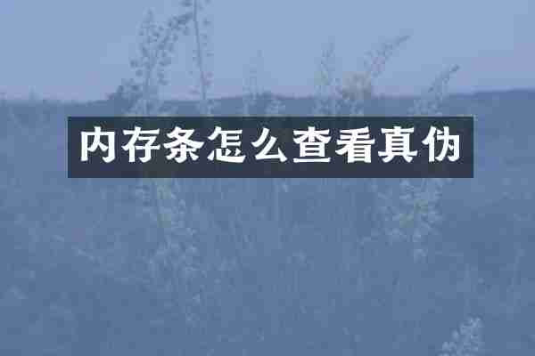 内存条怎么查看真伪