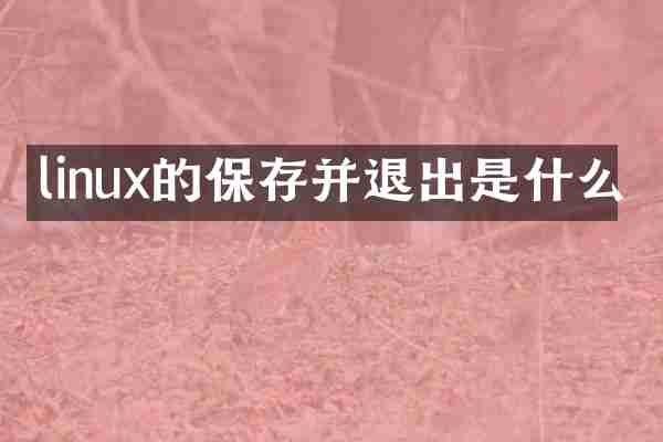 linux的保存并退出是什么