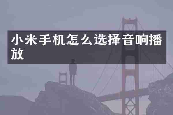 小米手机怎么选择音响播放