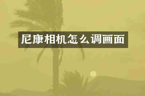 尼康相机怎么调画面