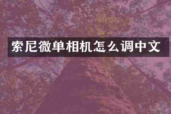 索尼微单相机怎么调中文