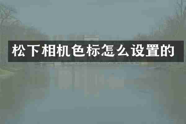 松下相机色标怎么设置的