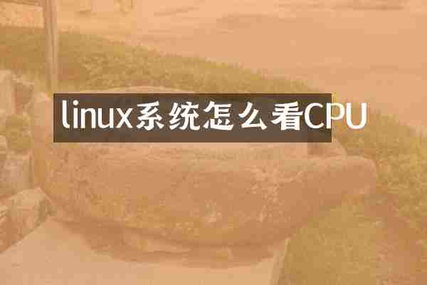 linux系统怎么看CPU