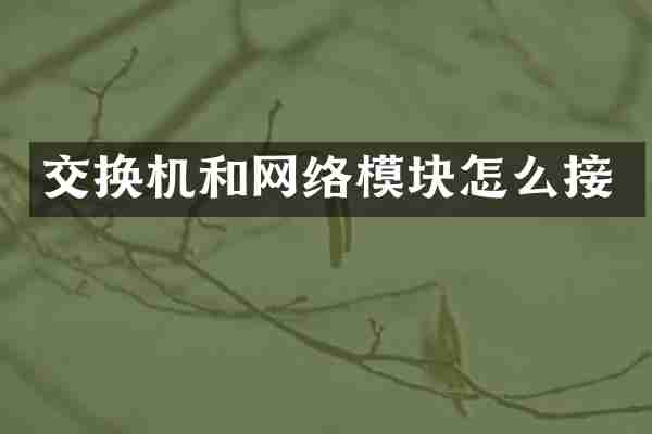 交换机和网络模块怎么接