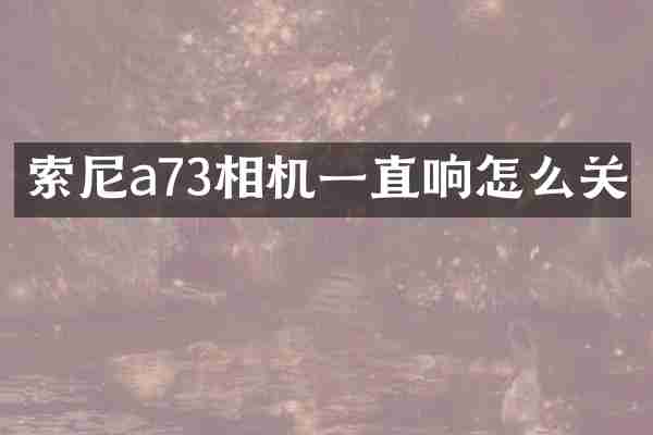 索尼a73相机一直响怎么关