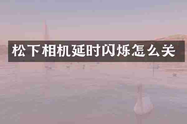 松下相机延时闪烁怎么关