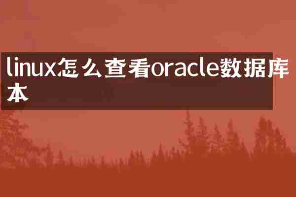 linux怎么查看oracle数据库版本