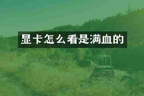 显卡怎么看是满血的