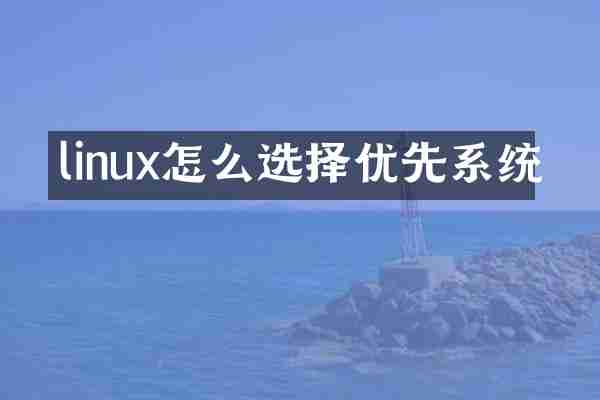 linux怎么选择优先系统