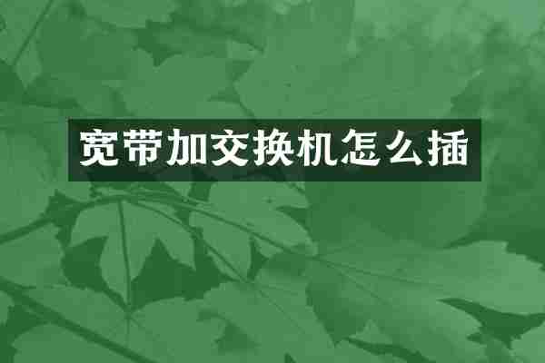 宽带加交换机怎么插