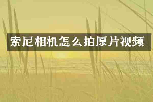 索尼相机怎么拍原片视频